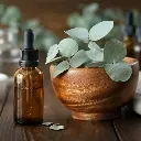 Eucalyptus Essential Oil.webp