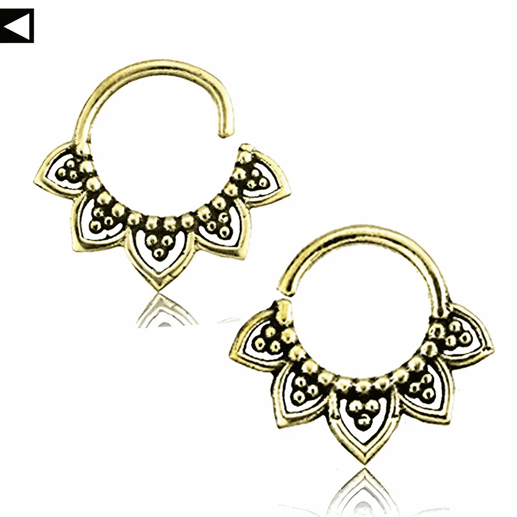 septum-204.webp