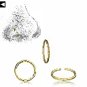 nose_ring 106.webp