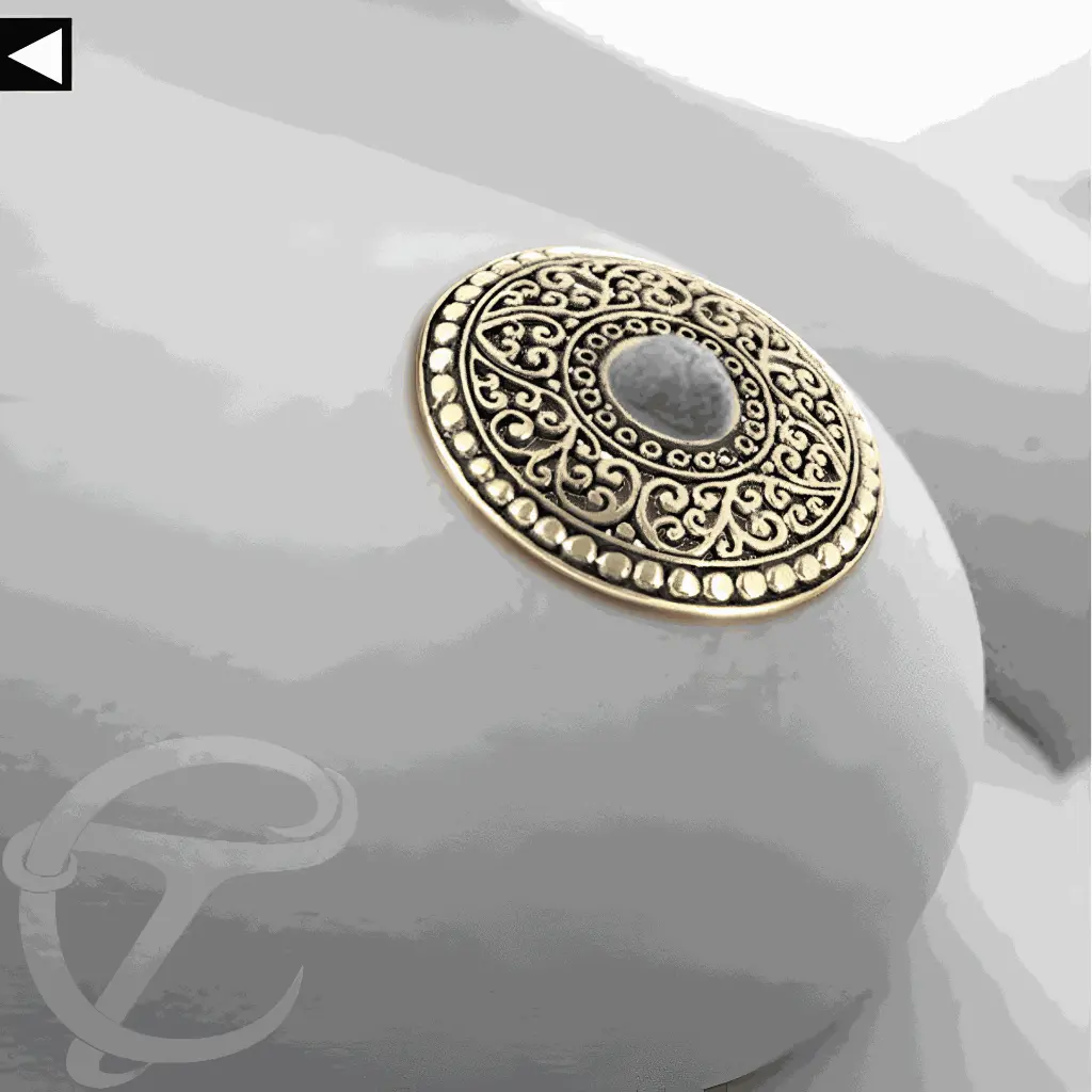 nipple Shield 003.webp