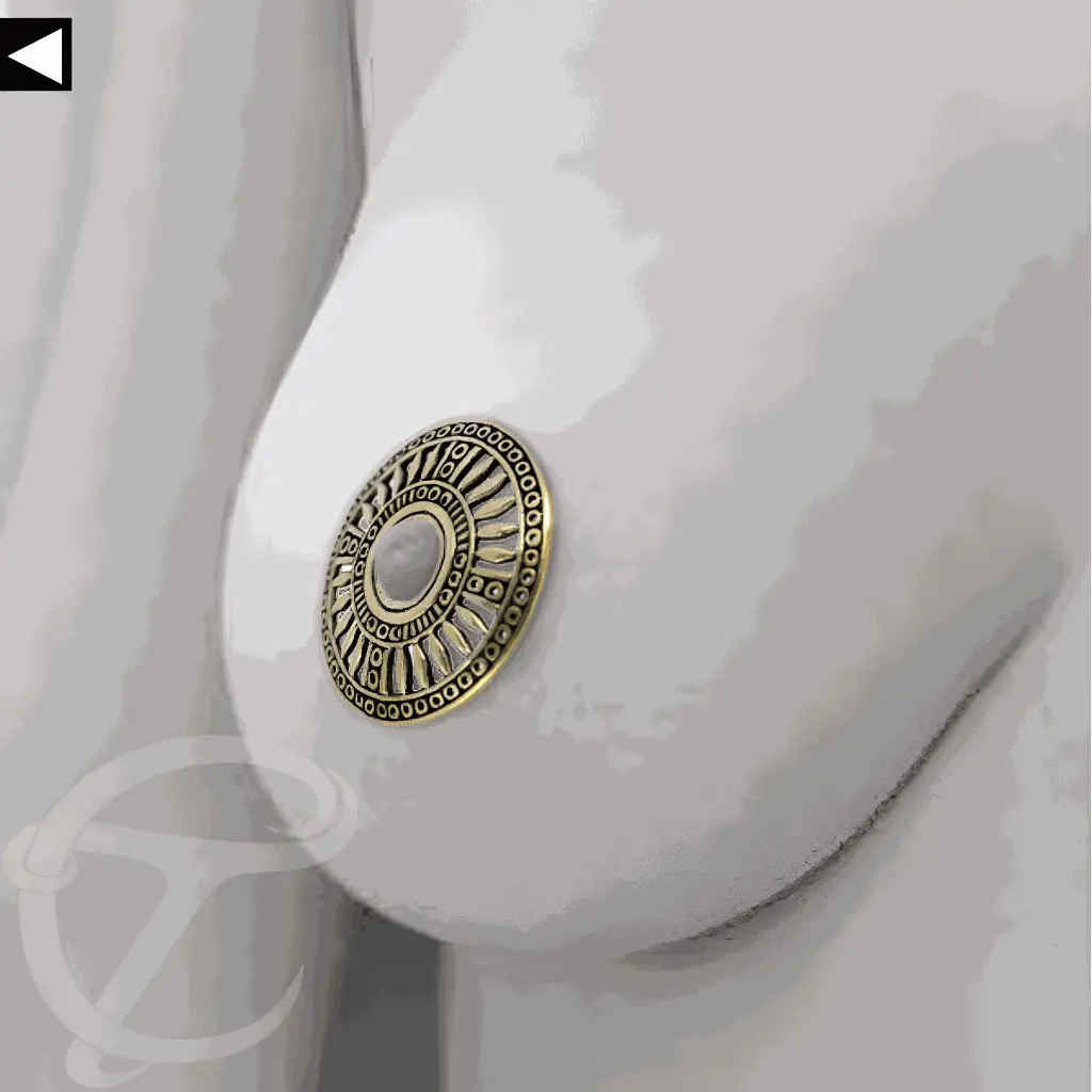 NIppleShield  002.webp
