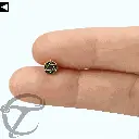 Jewish.Star.nosepin.webp