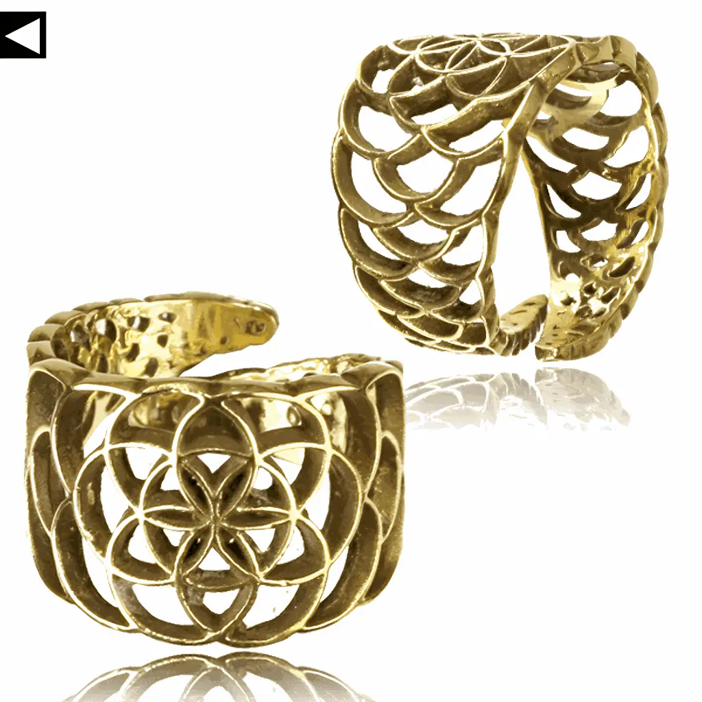 fingerring_004.webp