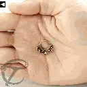 BRASS Septum  001.webp
