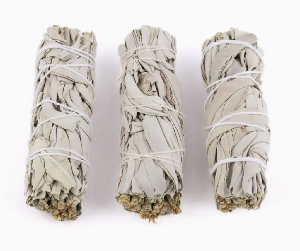 Screenshot 2025-01-29 at 12-51-24 California White Sage Smudge Stick (4 in.) - Faire.webp