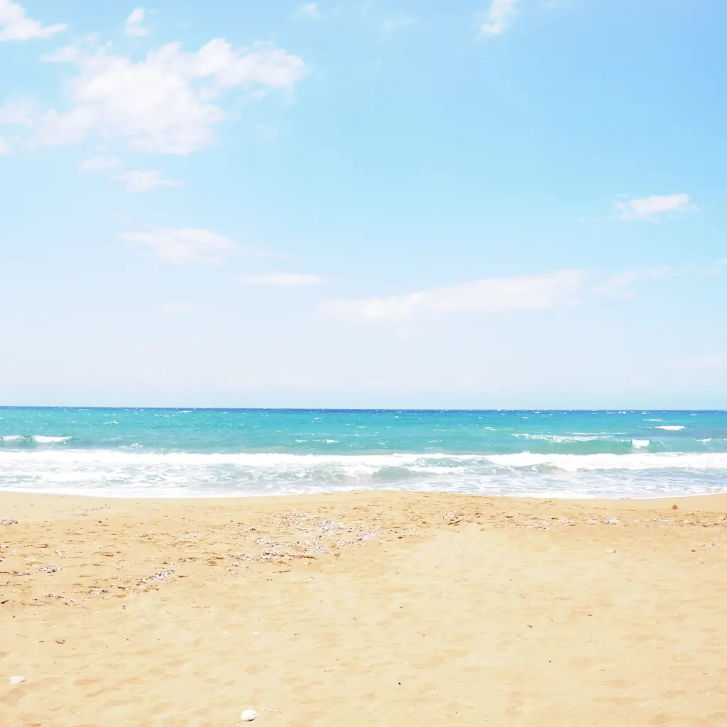 Suncare.webp