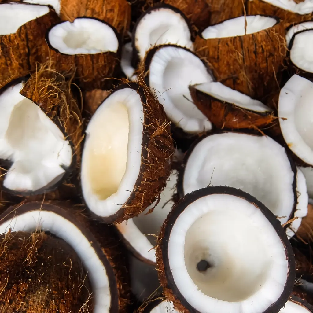 coconut cream.webp