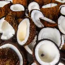 coconut cream.webp