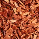 Sandalwood.webp