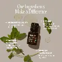 organic-peppermint-essential-oilessential-oil-singles-958220.webp