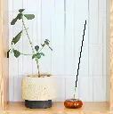 Incense Teakwood & Tobacco
