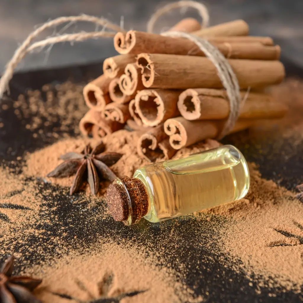 Cinnamon Cassia Essential Oil