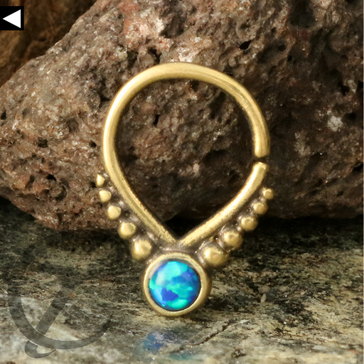 Septum Ring Ocean